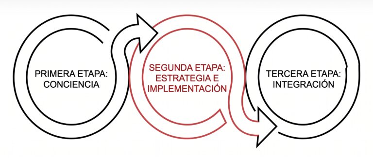TRES ETAPAS PARA DESARROLLAR INTELIGENCIA CULTURAL